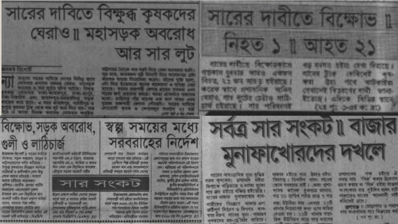 বেঙ্গল লেন্স (6)